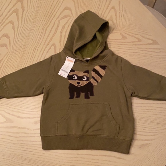 NWT Gymboree boys size2 raccoon sweater & hoodie - Picture 6 of 8